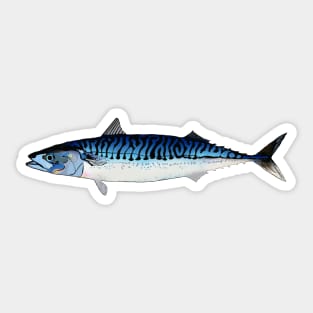 Royal Blue Mackerel Sticker